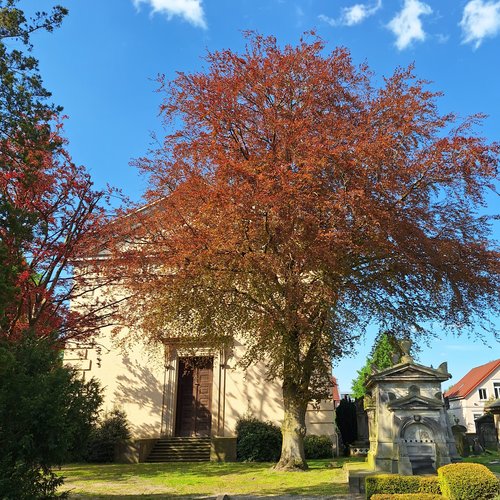 Kapelle auf dem Gertrudenkirchhof.