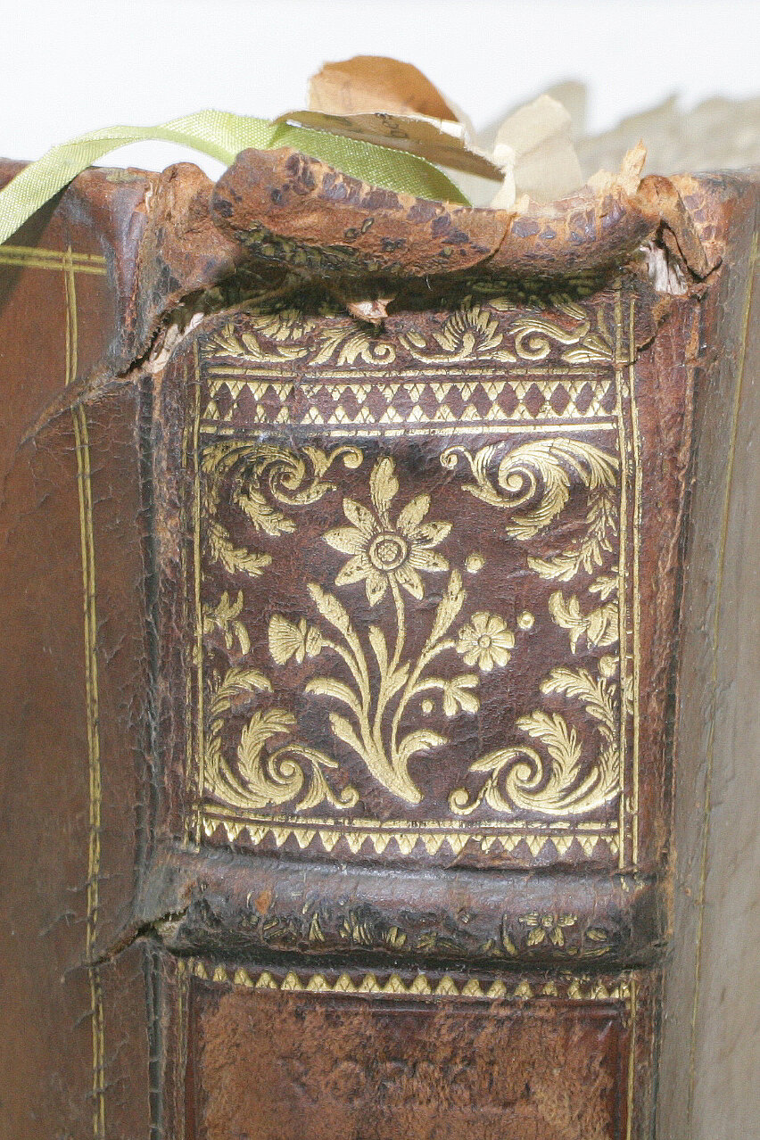 Rücken und lädierte Oberkante eines Ledereinbandes. 