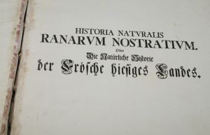 Foto von der Titelseite von "Historia Naturalis Ranarum Nostratium"