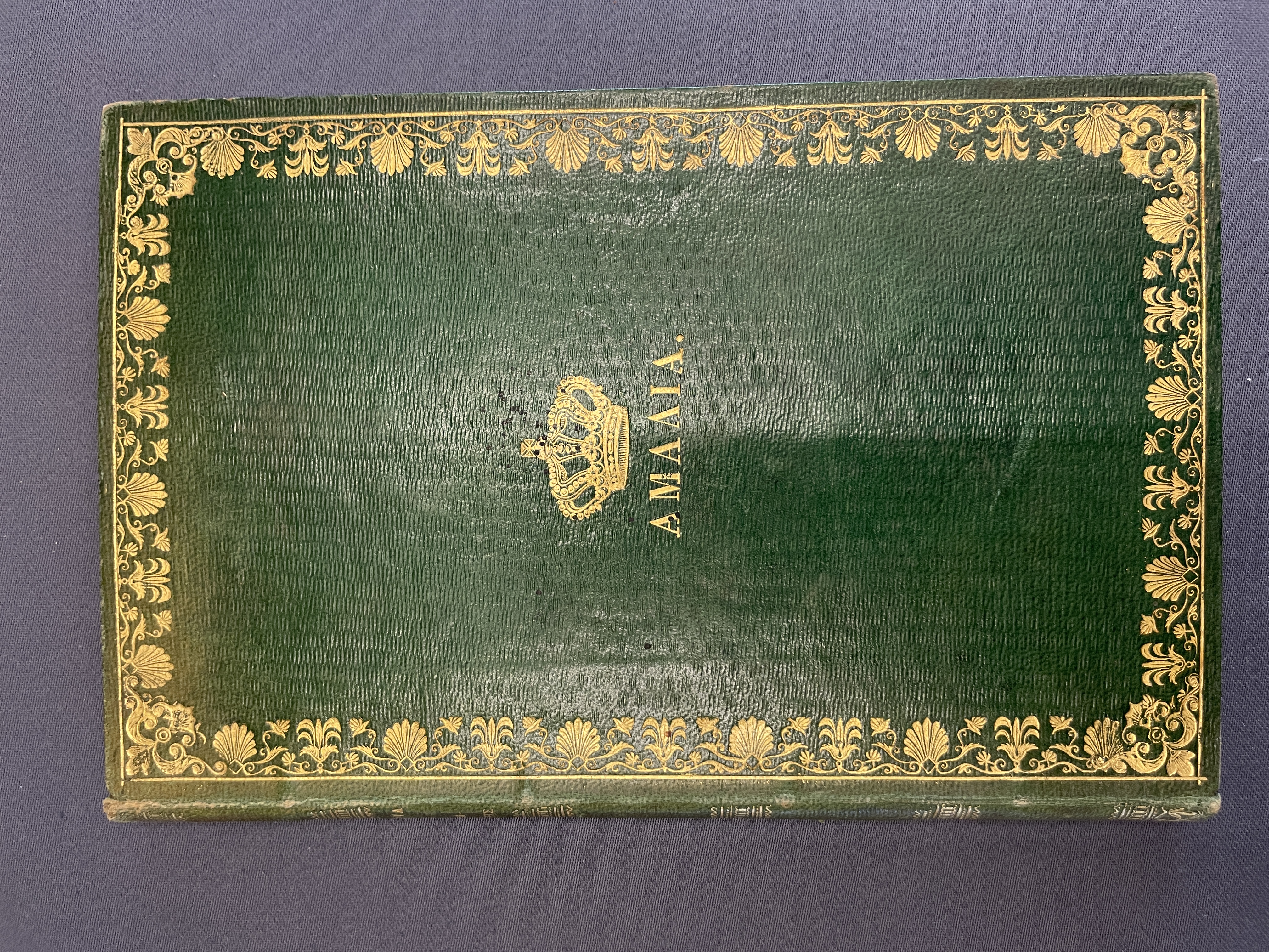 Buchcover von 'Amalie - 1818-1875'