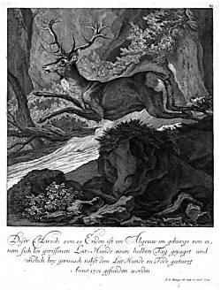 Kupferstich aus: 'Les Chasseurs' von Johann Elias Ridinger